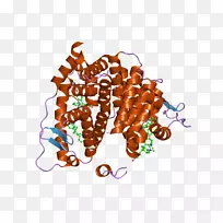 食物字体-空若网 食物字体-空若网