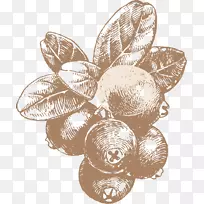 阿道夫达博糖浆蜂蜜水果奥格里斯蜂蜜-空若网 阿道夫达博糖浆蜂蜜水果奥格里斯蜂蜜-空若网