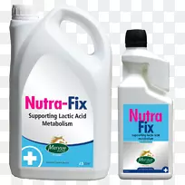 ����ʳ�������������-��-������