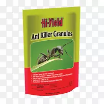 火蚁昆虫-空若网 火蚁昆虫-空若网