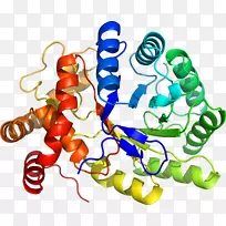 ÒÕÊõÉíÌåÖ鱦ÓлúÌå¼ôÌùÒÕÊõÖ鱦Ê×ÊÎ-¿ÕÈôÍø ÒÕÊõÉíÌåÖ鱦ÓлúÌå¼ôÌùÒÕÊõÖ鱦Ê×ÊÎ-¿ÕÈôÍø