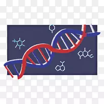 品牌设计-空若网 品牌设计-空若网