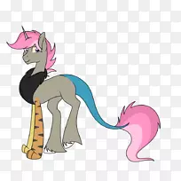 猫、马、、动物-猫-空若网 猫、马、、动物-猫-空若网