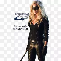 黑金丝雀绿箭莎拉兰斯奥利弗女王罗伊哈珀艾米莉贝特里卡兹-空若网 黑金丝雀绿箭莎拉兰斯奥利弗女王罗伊哈珀艾米莉贝特里卡兹-空若网