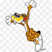 ���洫�۶����������˹�����-������