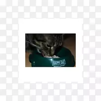 猫须猫鼻子-小猫-空若网 猫须猫鼻子-小猫-空若网