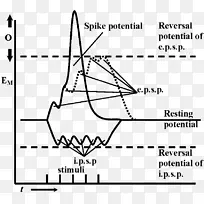 ֽ�������ΰ�������-������