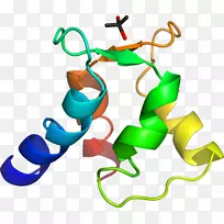 �����鱦������.�鱦-������