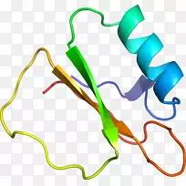 �ߵ������-��-������