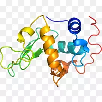 �ߵ������������-������