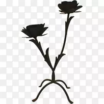 枝条植物茎叶花瓣开花植物-叶-空若网 枝条植物茎叶花瓣开花植物-叶-空若网