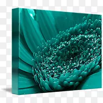 ˮƿ��ɫ��ɫ����ɫ-������