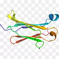 线点剪贴画-线-空若网 线点剪贴画-线-空若网