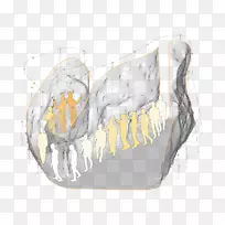 画骨设计-空若网 画骨设计-空若网