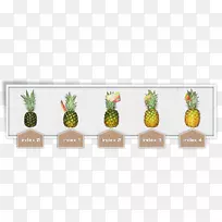 菠萝切花蔬菜草彩色菠萝-空若网 菠萝切花蔬菜草彩色菠萝-空若网