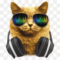 轴心戴猫耳机德农胡须-dj耳机-空若网 轴心戴猫耳机德农胡须-dj耳机-空若网