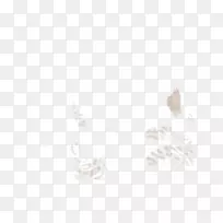 白色桌面壁纸体珠宝字体珠宝-空若网 白色桌面壁纸体珠宝字体珠宝-空若网