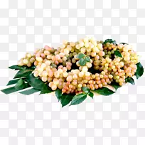 奥格里斯葡萄果-3D创意手绘水果材料-空若网 奥格里斯葡萄果-3D创意手绘水果材料-空若网