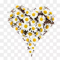 情人节摄影插花艺术-情人节-空若网 情人节摄影插花艺术-情人节-空若网