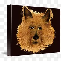 �Ĵ�������Ȯ��������Ȯ����������Ȯ��Ȯ��-�Ĵ�����-������