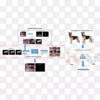 品牌技术多媒体人类行为-空若网 品牌技术多媒体人类行为-空若网