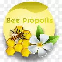 蜜蜂桌面壁纸开花植物蜂胶-空若网 蜜蜂桌面壁纸开花植物蜂胶-空若网