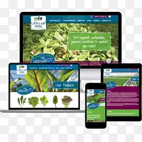 չʾ���Ʒ����̬��ý�弼��-������