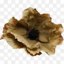 无损压缩摄影剪贴画-花-空若网 无损压缩摄影剪贴画-花-空若网