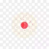 �;�-��Ϸ��Ч��-������