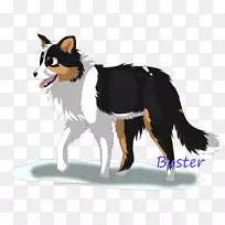 狗繁殖边境牧羊犬粗壮牧羊犬鼻子毛皮边境牧羊犬米洛-空若网 狗繁殖边境牧羊犬粗壮牧羊犬鼻子毛皮边境牧羊犬米洛-空若网