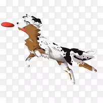 犬科犬-空若网 犬科犬-空若网