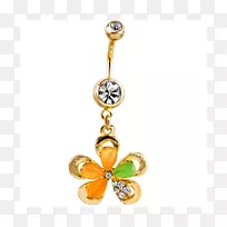 ���������͹Ҽ��鱦��ʯ-������