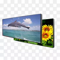 ��������Լ�ص��ӻ�Һ����ʾ������-������