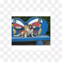 狗鼻子杂交小狗-空若网 狗鼻子杂交小狗-空若网