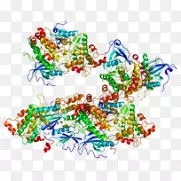 线点生物剪贴画线-空若网 线点生物剪贴画线-空若网