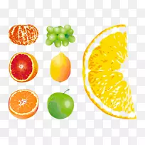 葡萄柚橙鼠-空若网 葡萄柚橙鼠-空若网