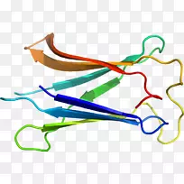 �ߵ������-��-������