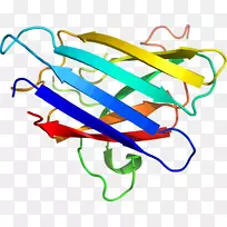 线点剪贴画-线-空若网 线点剪贴画-线-空若网