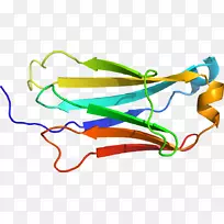 线点剪贴画-线-空若网 线点剪贴画-线-空若网