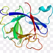线点生物剪贴画线-空若网 线点生物剪贴画线-空若网