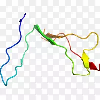 �ߵ������������-������