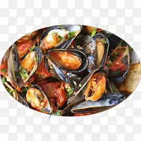 地中海贻贝-空若网 地中海贻贝-空若网