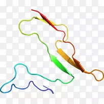 线点生物剪贴画线-空若网 线点生物剪贴画线-空若网