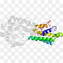 ���������鱦ϵ�м������鱦����-������