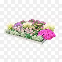 ������ƻ����л�һ����ֲ�ﻨ��-������