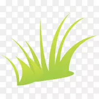 �̲�-������