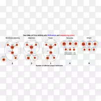 Ʒ�������-������