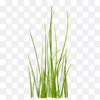 ²Ý-¿ÕÈôÍø ²Ý-¿ÕÈôÍø