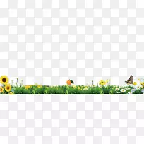 绿草边缘纹理-空若网 绿草边缘纹理-空若网