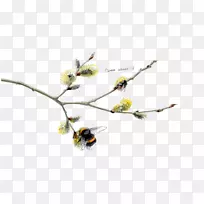 С֦À¥³æÖ²Îï¾¥¿ª»¨Ö²Îï-À¥³æ-¿ÕÈôÍø С֦À¥³æÖ²Îï¾¥¿ª»¨Ö²Îï-À¥³æ-¿ÕÈôÍø